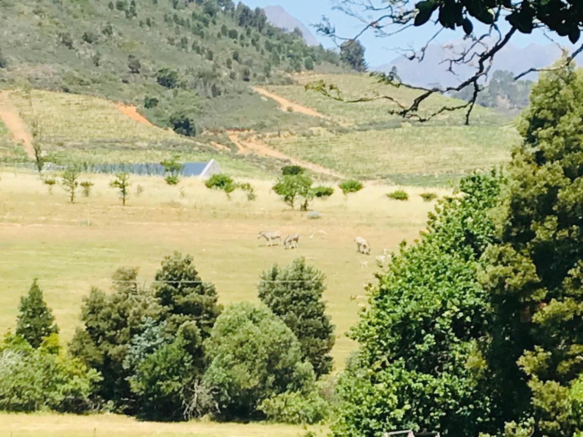 Winelands Guest Room Στέλενμπος Εξωτερικό φωτογραφία