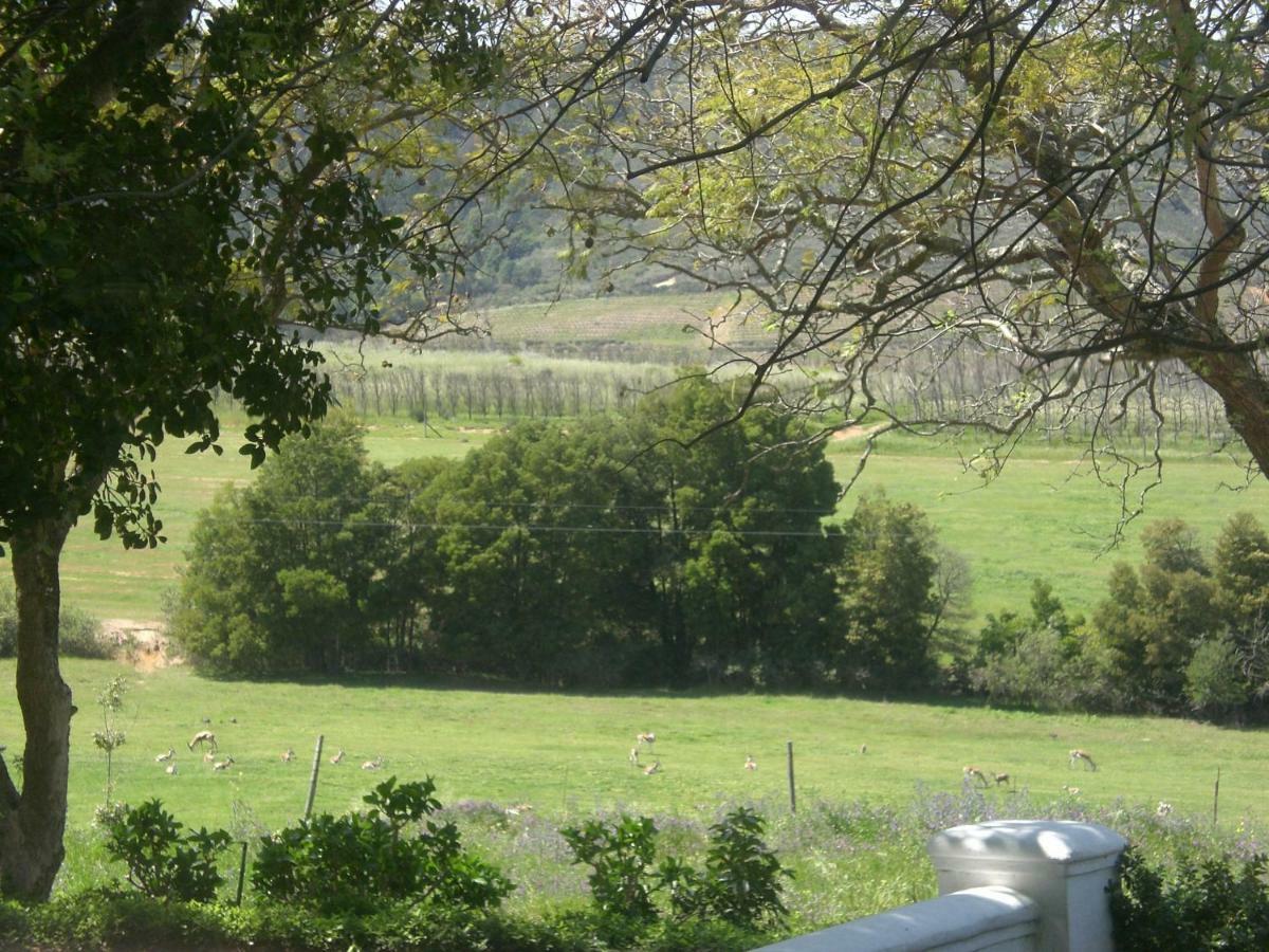 Winelands Guest Room Στέλενμπος Εξωτερικό φωτογραφία